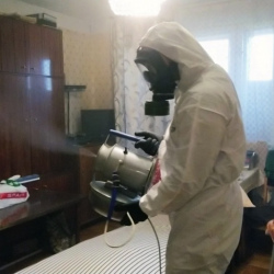 Дезинфекция от клопов в Сельце